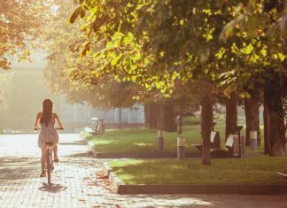 A zöld terek ereje a városi környezetben