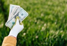 Zöld gazdaság felemelkedése – profit és fenntarthatóság kéz a kézben