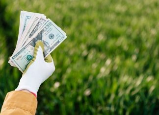 Zöld gazdaság felemelkedése – profit és fenntarthatóság kéz a kézben